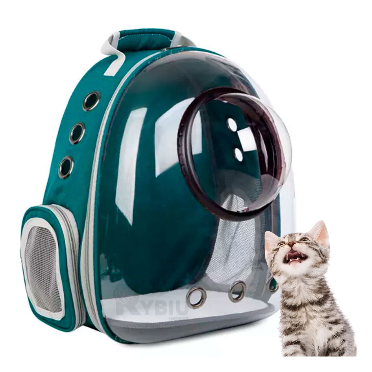 RYBIU IMPORT - Maletin para Mascotas Resistente en Verde Y+Gift Stickers