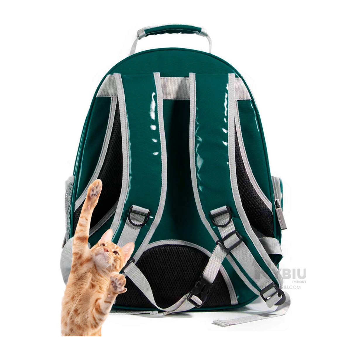 RYBIU IMPORT - Maletin para Mascotas Resistente en Verde Y+Gift Stickers