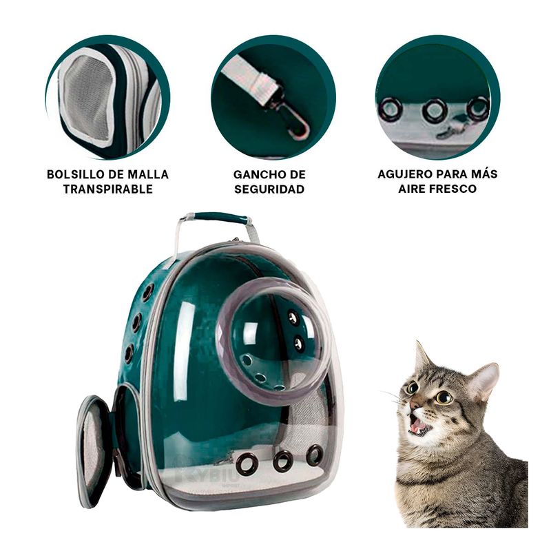 RYBIU IMPORT - Morral Eficiente en Color Verde Y+Regalo Ligas para Peinar