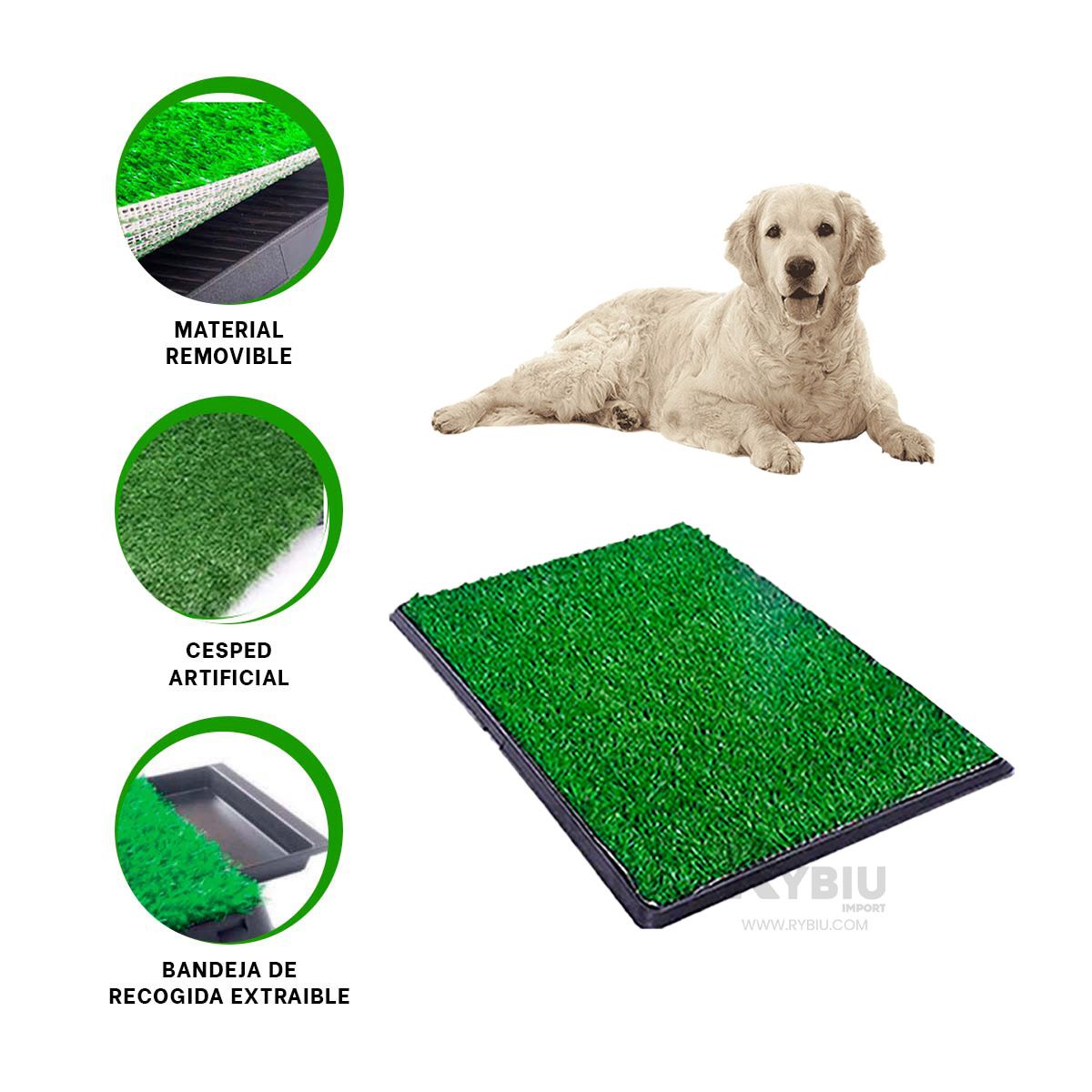 RYBIU IMPORT - Urinario para Cachorros en Tamaño L Negro Y+Agendita