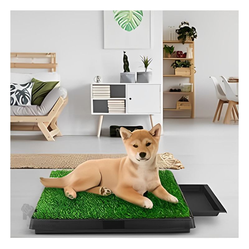 GENERICO - Baño para Mascota Removible Talla L Negro Y+Papel de Regalo