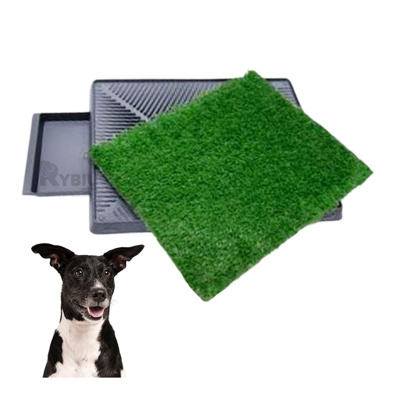 GENERICO - Sanitario para Perros Compacto L Negro Y+MiniAgenda