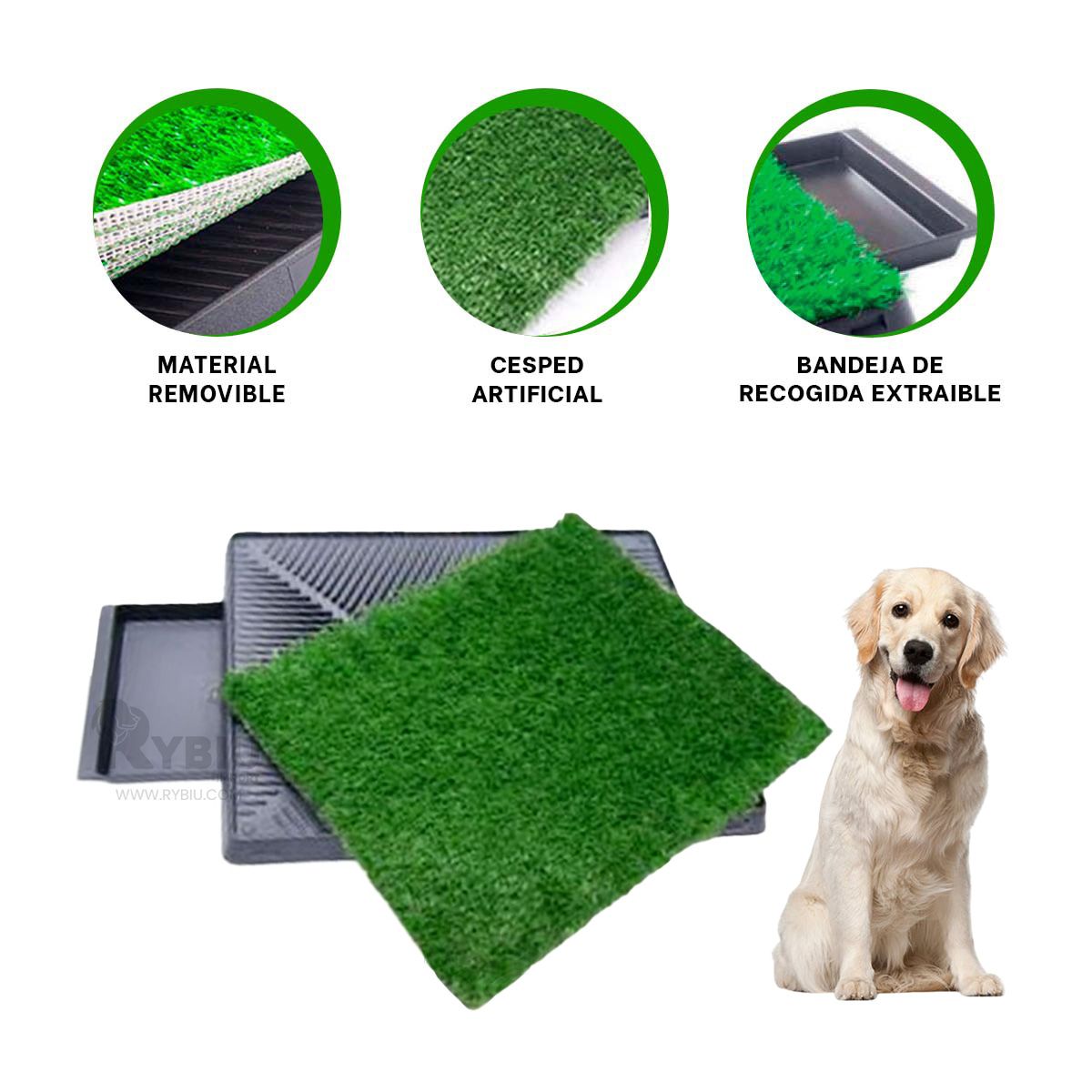 GENERICO - Sanitario Funcional L en Color Negro Y+Post-it adhesivos