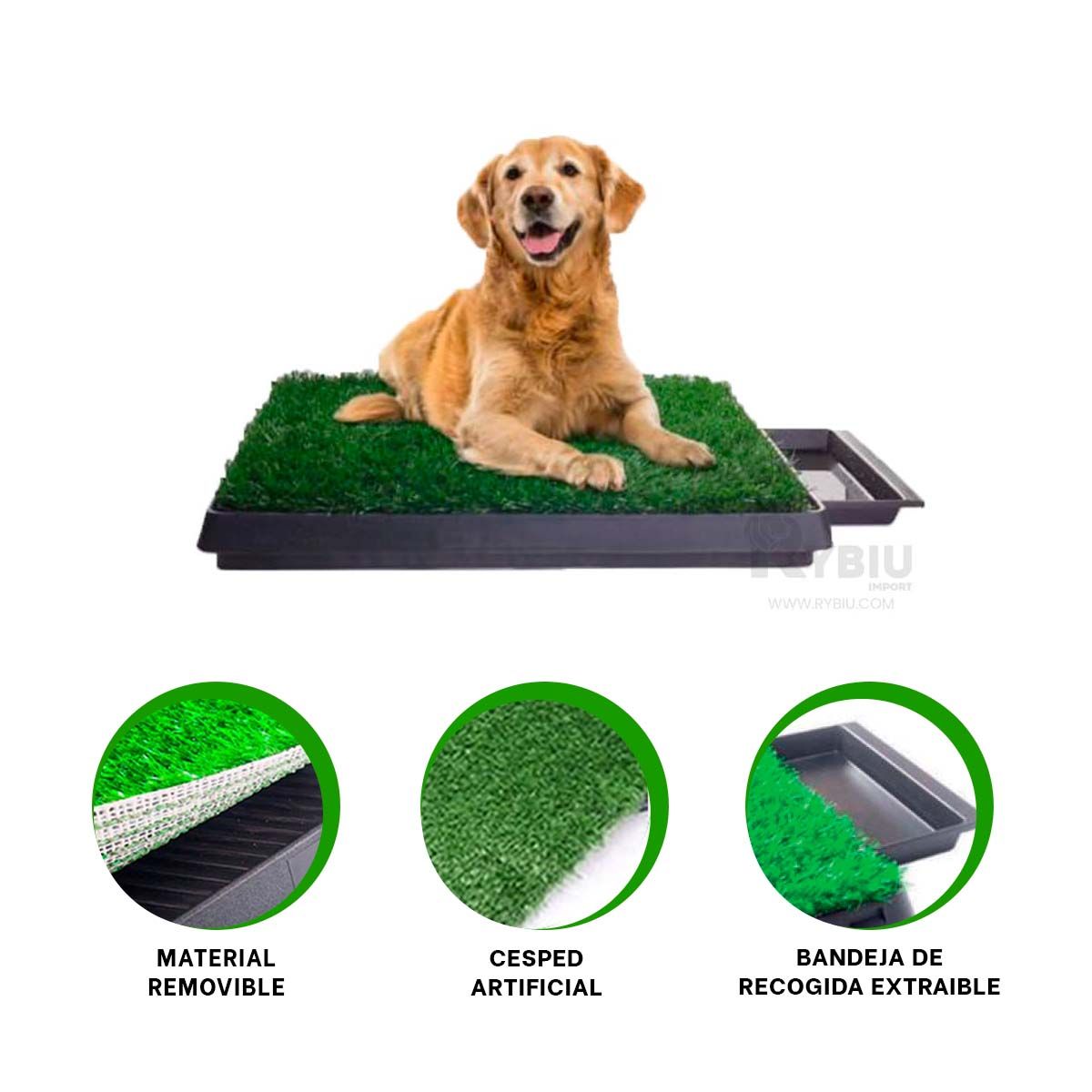 GENERICO - Sanitario para Casa en L de Negro Y+Banderitas adhesivas