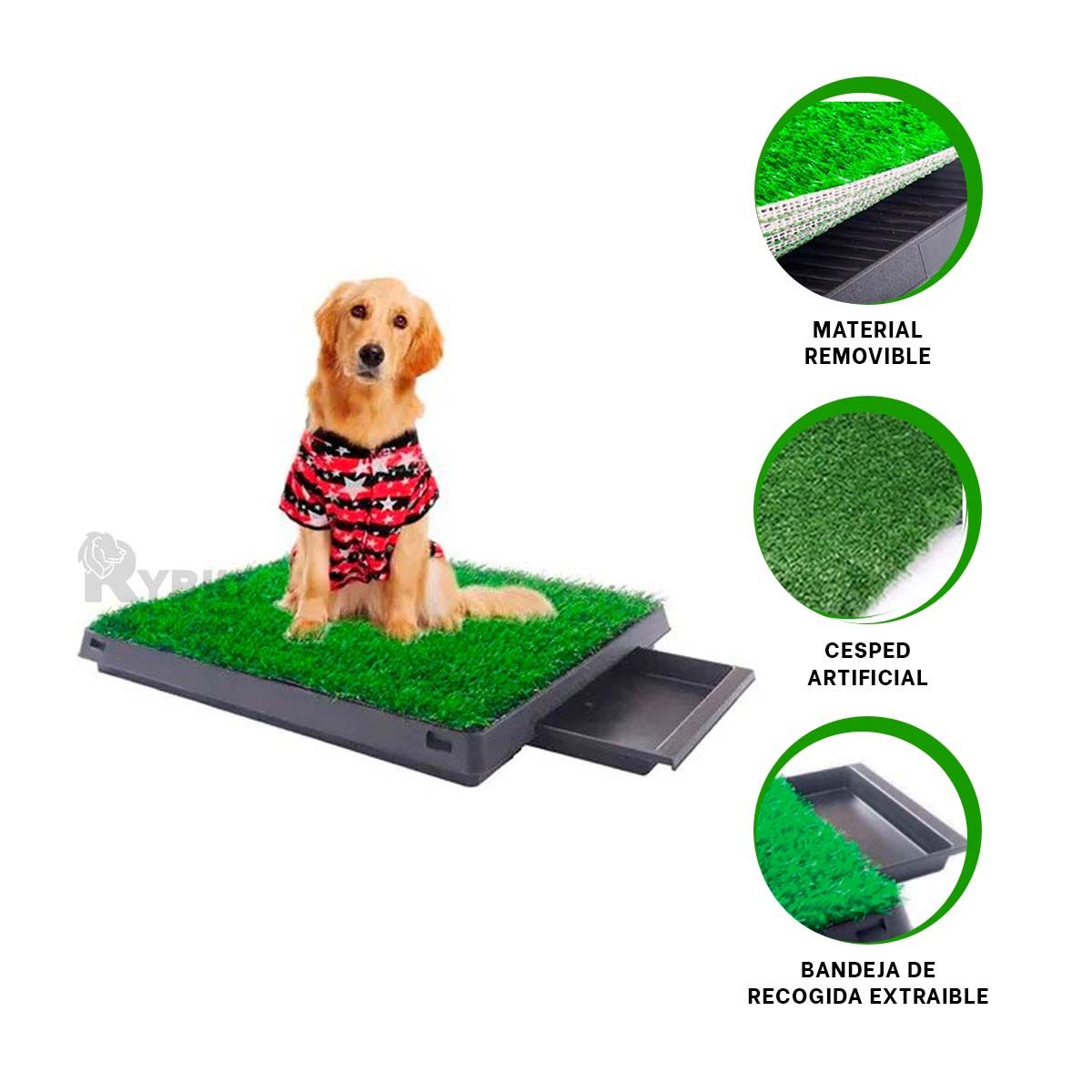 GENERICO - Sanitario para Casa en L de Negro Y+Banderitas adhesivas