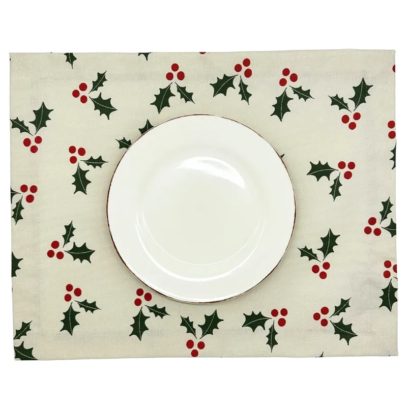 CASIOPIA - Set 4 individuales antimanchas BELEN