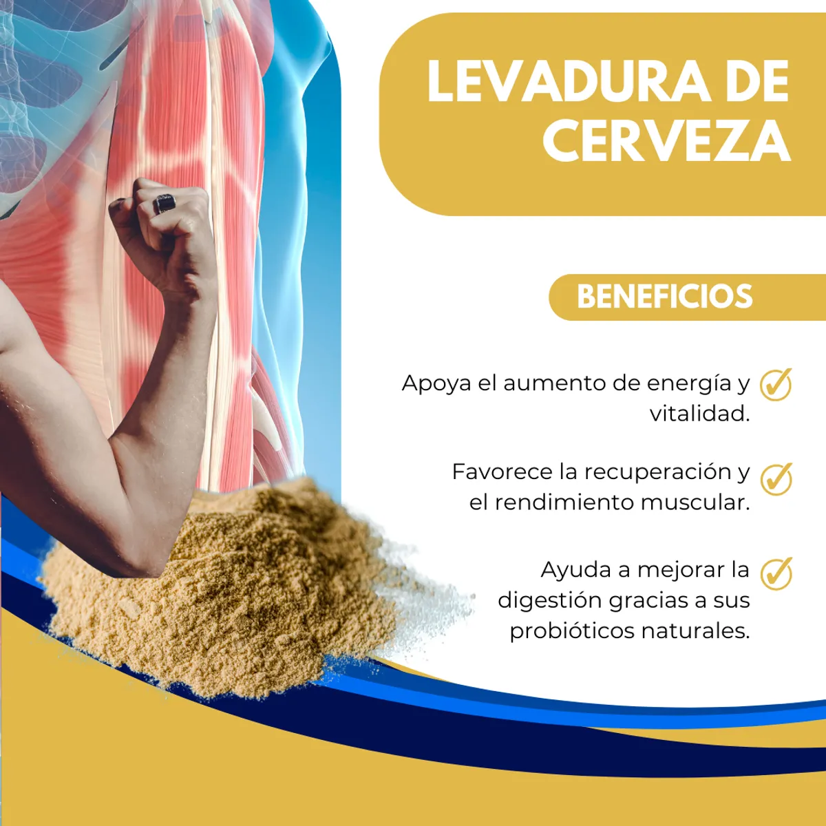 DINOA - Levadura de Cerveza Pote de 80gr Dinoa -Energía - Recuperación muscular