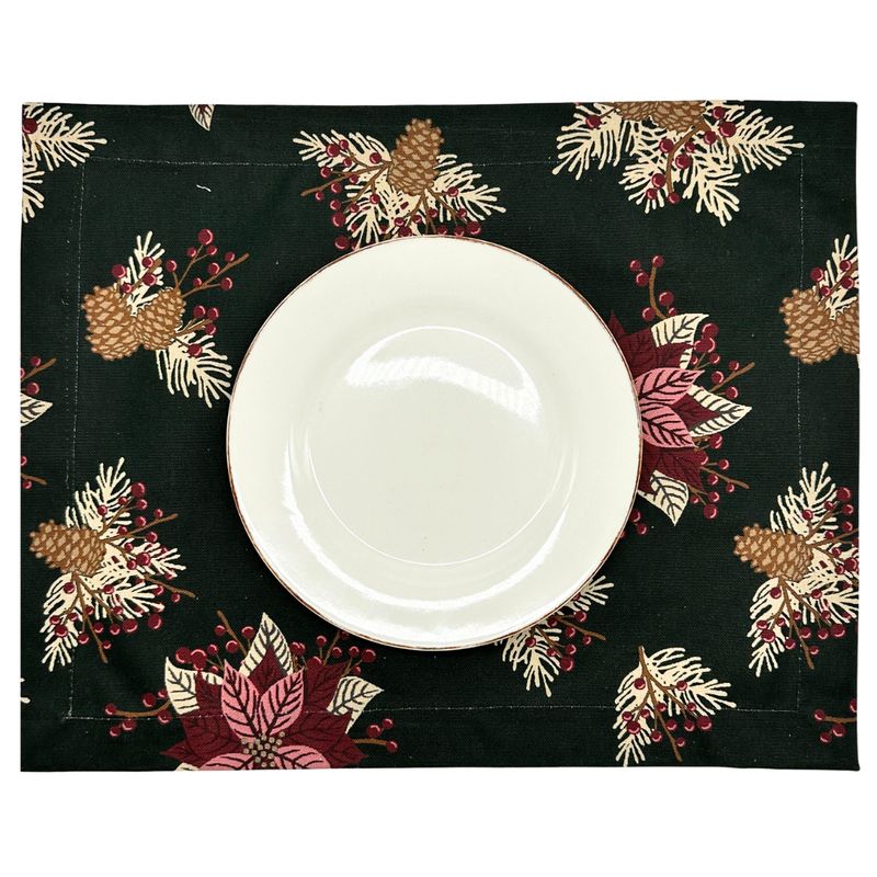 CASIOPIA - Set 4 individuales antimanchas PASTORA