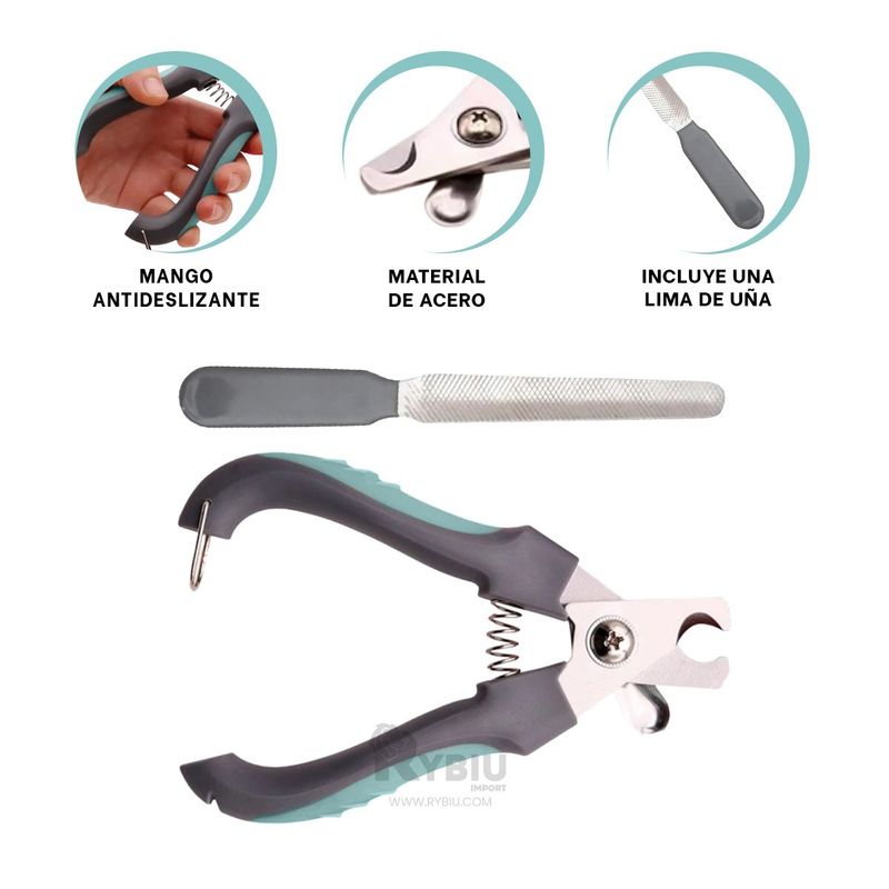 GENERICO - Cortauña Funcional para Perro en Verde Y+Papel de Regalo