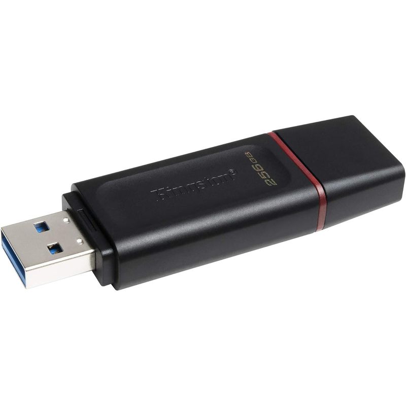 KINGSTON - MEMORIA USB KINGSTON DE 256GB DTX NEGRO