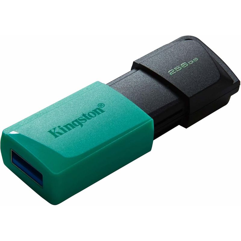 KINGSTON - MEMORIA USB KINGSTON DE 256GB DTXM RETRACTIL