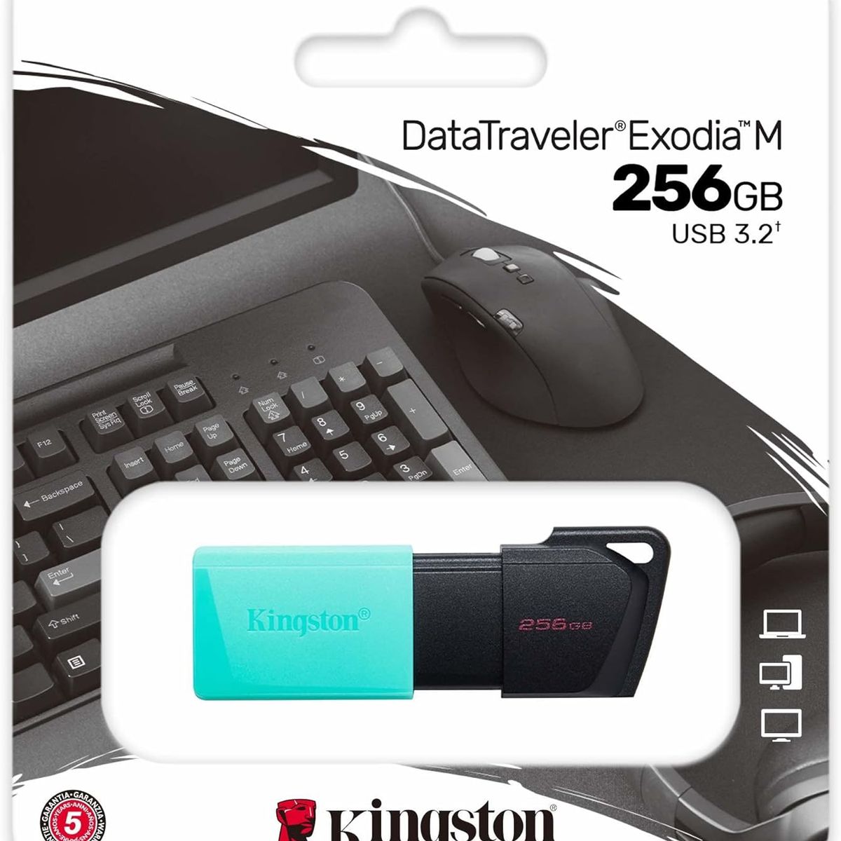 KINGSTON - MEMORIA USB KINGSTON DE 256GB DTXM RETRACTIL