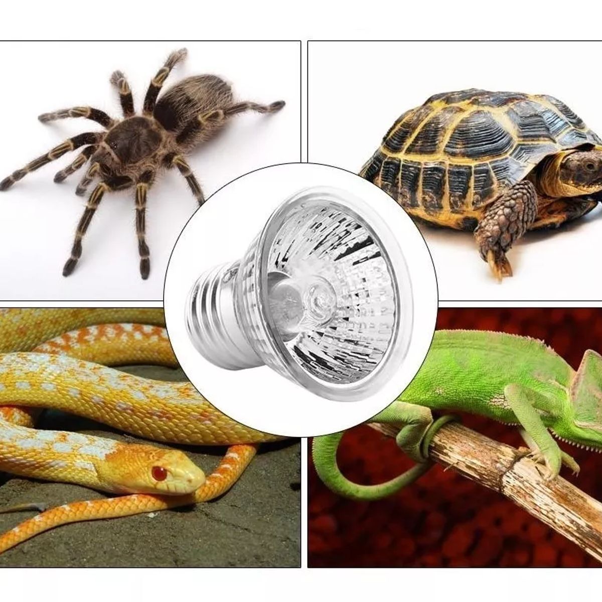 GENERICO - PACK 2 FOCOS UVB + UVA PARA REPTILES MASCOTAS 50W 220V