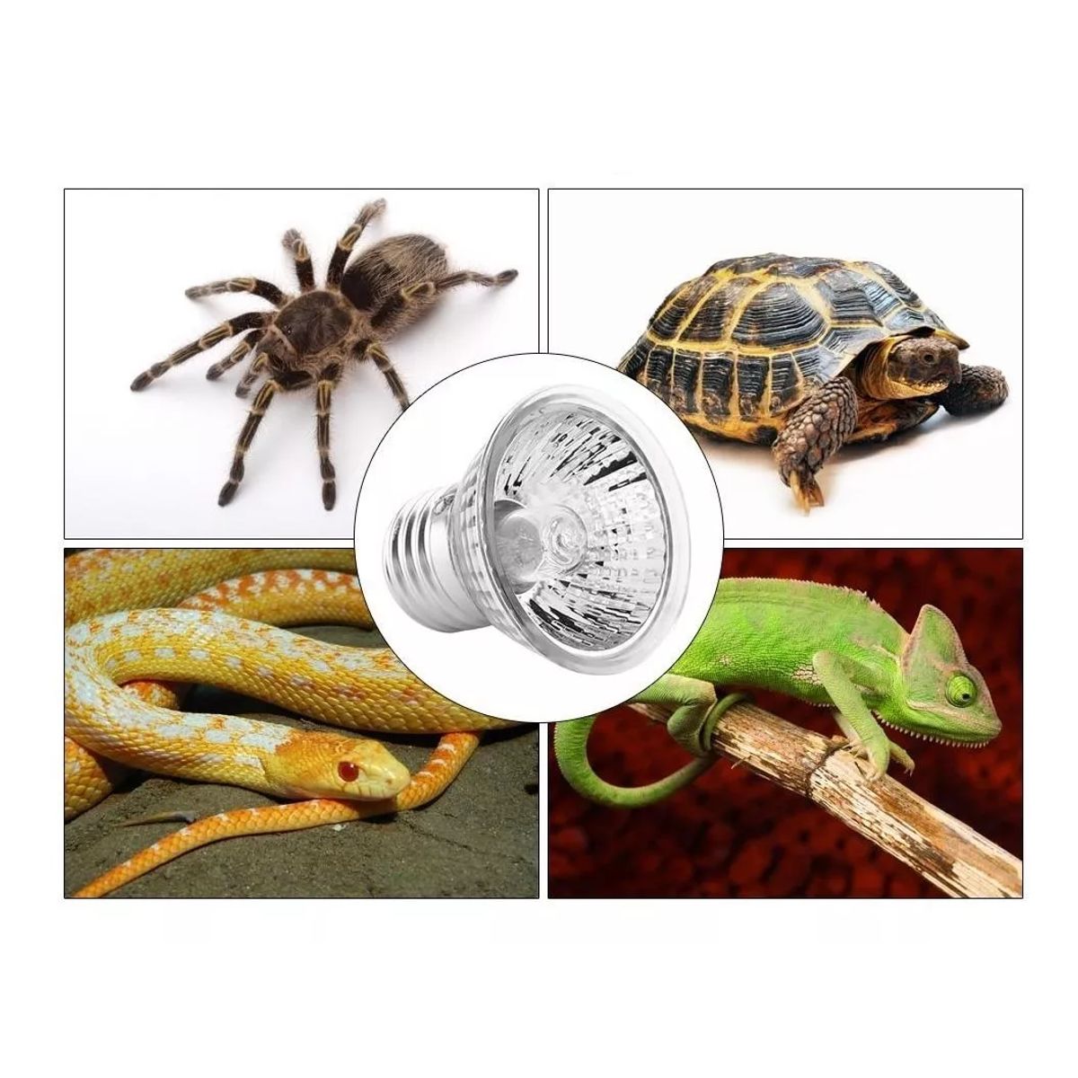 GENERICO - PACK 2 FOCOS UVB + UVA PARA REPTILES MASCOTAS 50W 220V