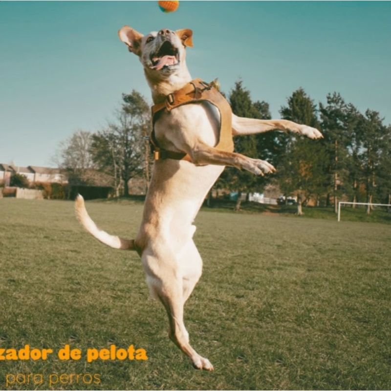 GENERICO - Juguete Lanza Pelotas para Perro Kulcan