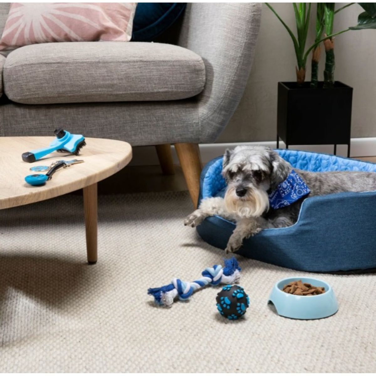 GENERICO - Kulcan Set Completo De Entrenamiento Para Perros