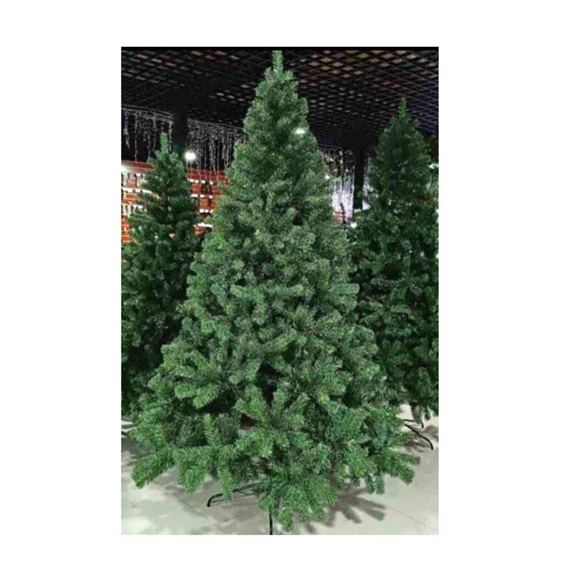 GENERICO - ARBOL EUROPEO CIPRES  1.80