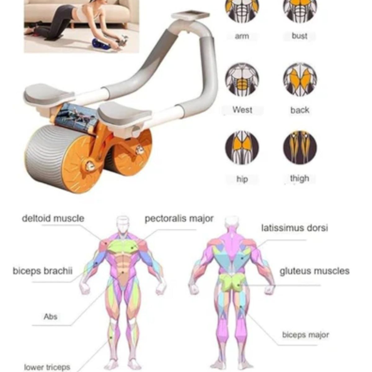 OEM - RODILLO ABDOMINAL 4 SOPORTE CON MEDIDOR DE CONTEO