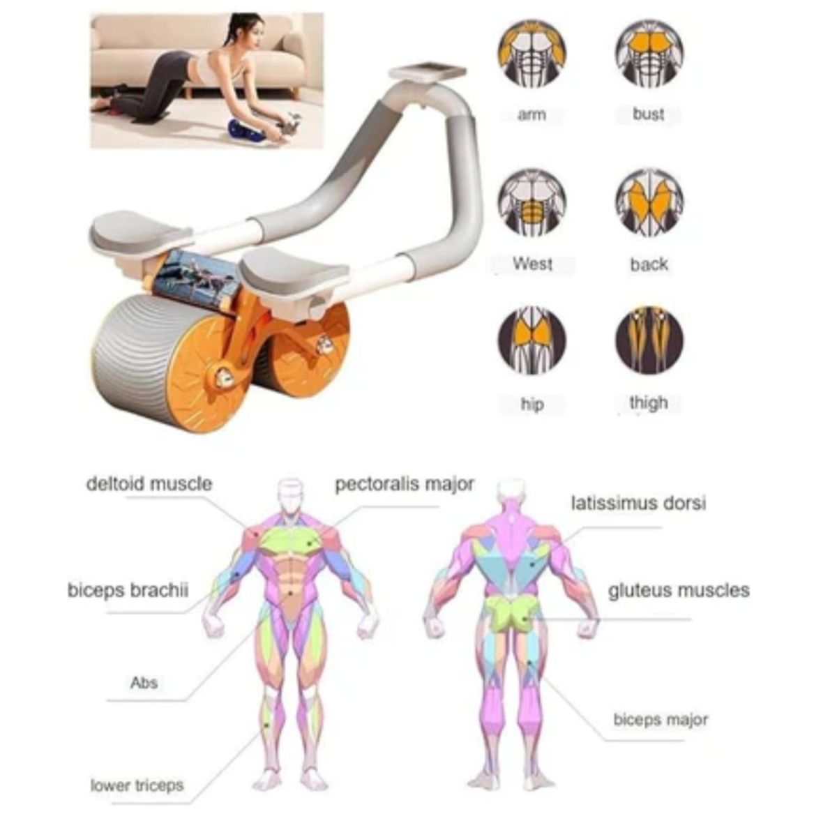 OEM - RODILLO ABDOMINAL 4 SOPORTE CON MEDIDOR DE CONTEO