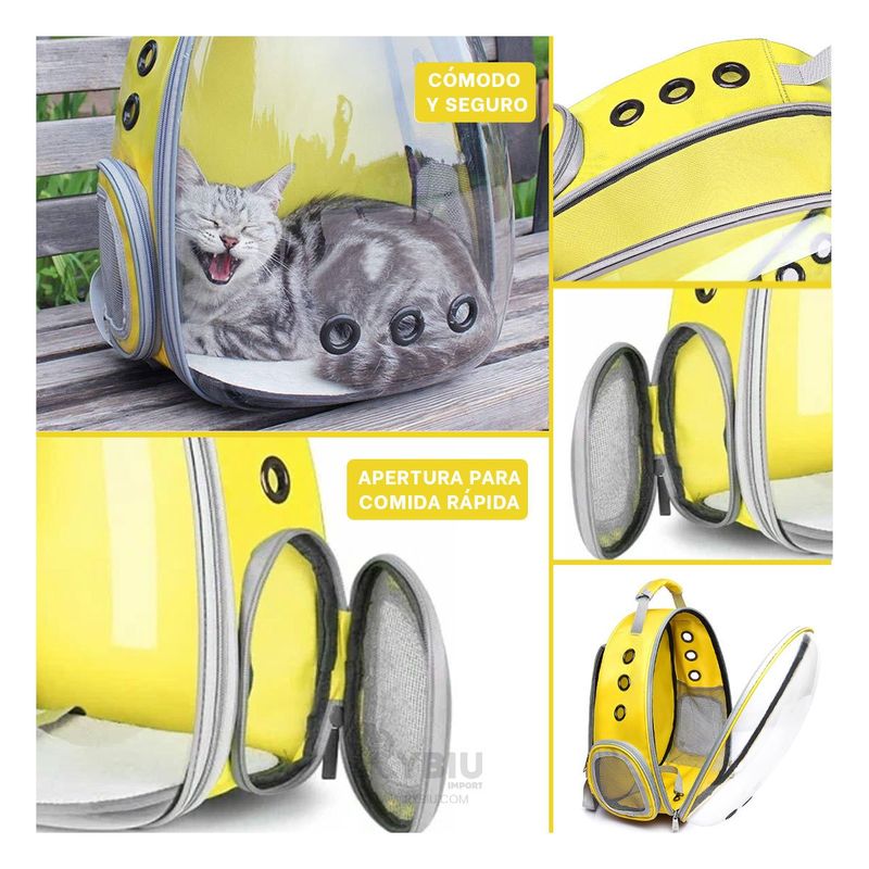 RYBIU IMPORT - Mochila Transparente de Gato en Amarillo Y+Papel de Regalo