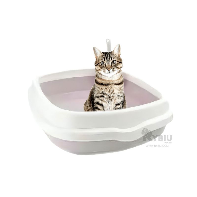 RYBIU IMPORT - Bandeja Abierta con Pala 48x40x125 Lila Y+Post-it Adhesivos