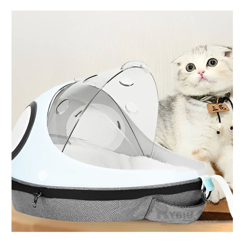 GENERICO - Maleta Transparente para Gato Tono Celeste Y+Regalo Stickers