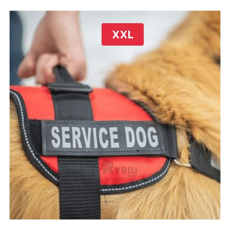 RYBIU IMPORT - Pechera Bonita de Paseo Pet XXL en Rojo Y+Papel de Regalo