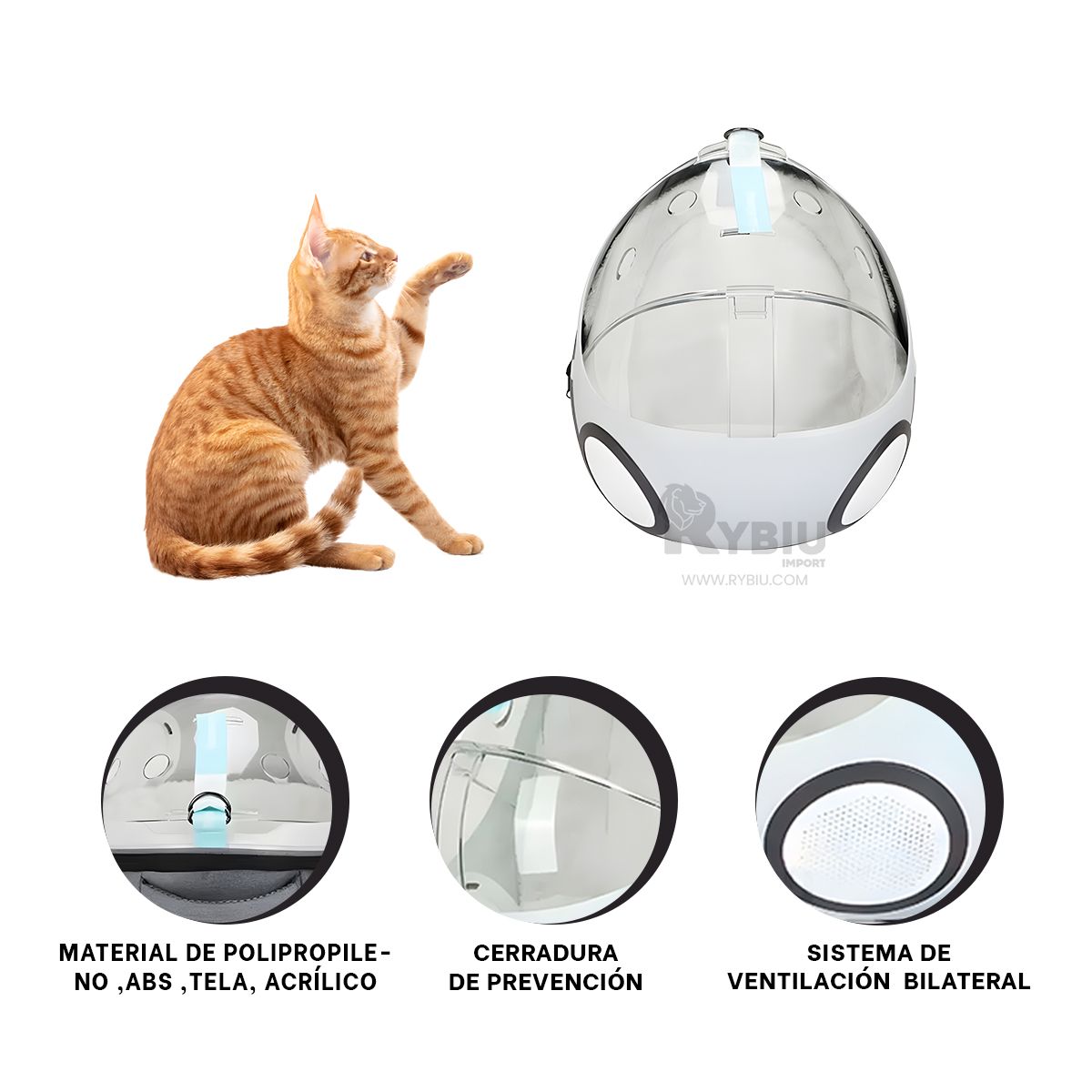 GENERICO - Mochila Ovalada de Pet de Color Plomo Y+Papel de Regalo