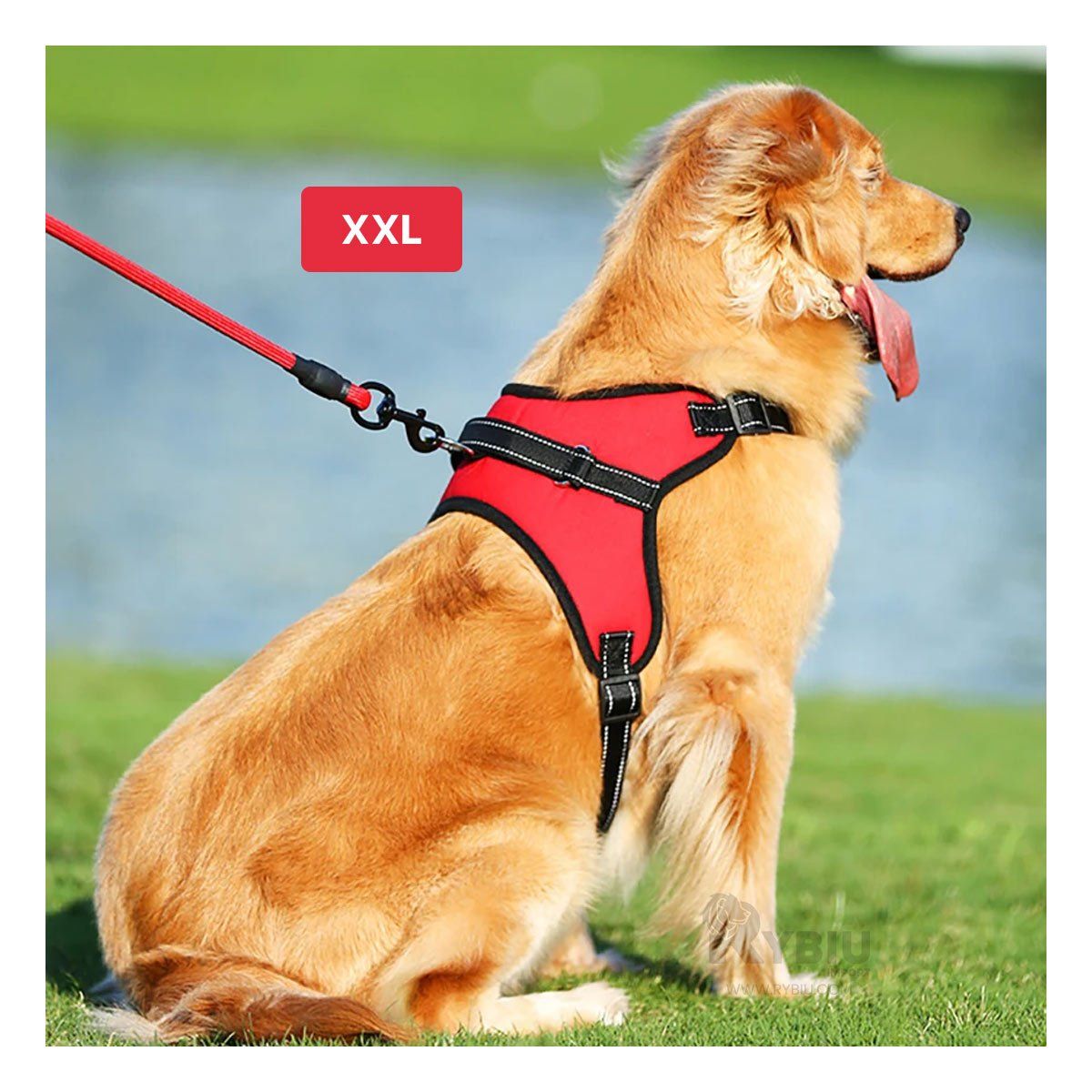 GENERICO - Pechera para Can Grande XXL en Color Rojo Y+Papel de Regalo