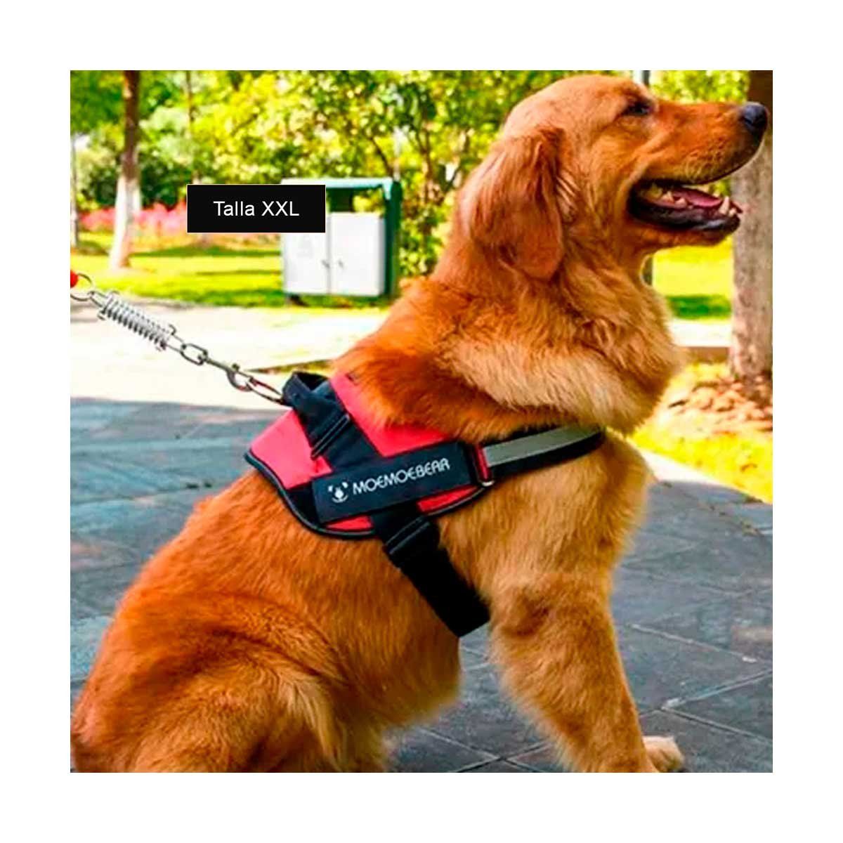 GENERICO - Arnes para Perro Labrador XXL en Rojo Y+Envoltorio de Regalo