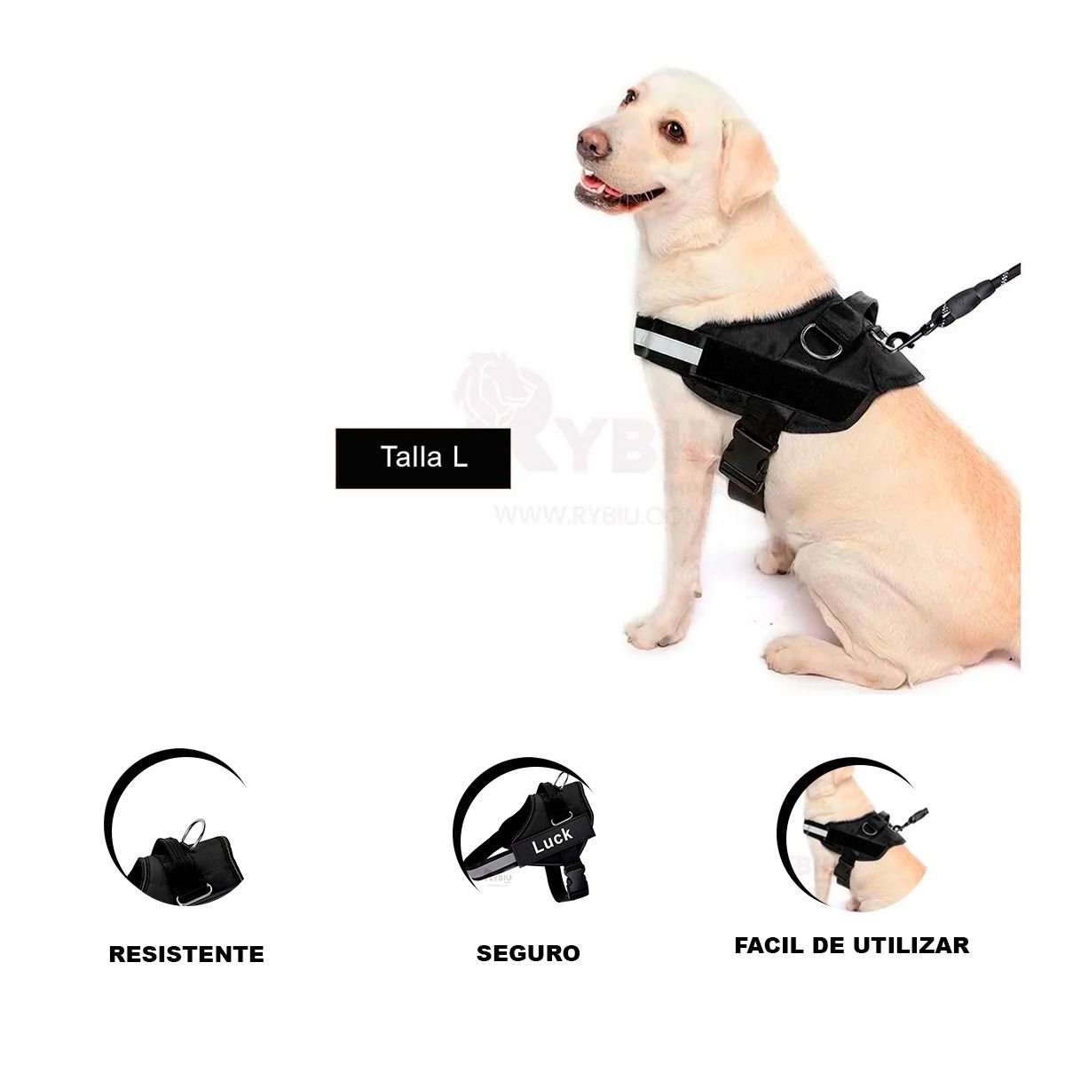 RYBIU IMPORT - Pechera Ideal para Perros en Tono Negro Y+Gift MiniAgenda