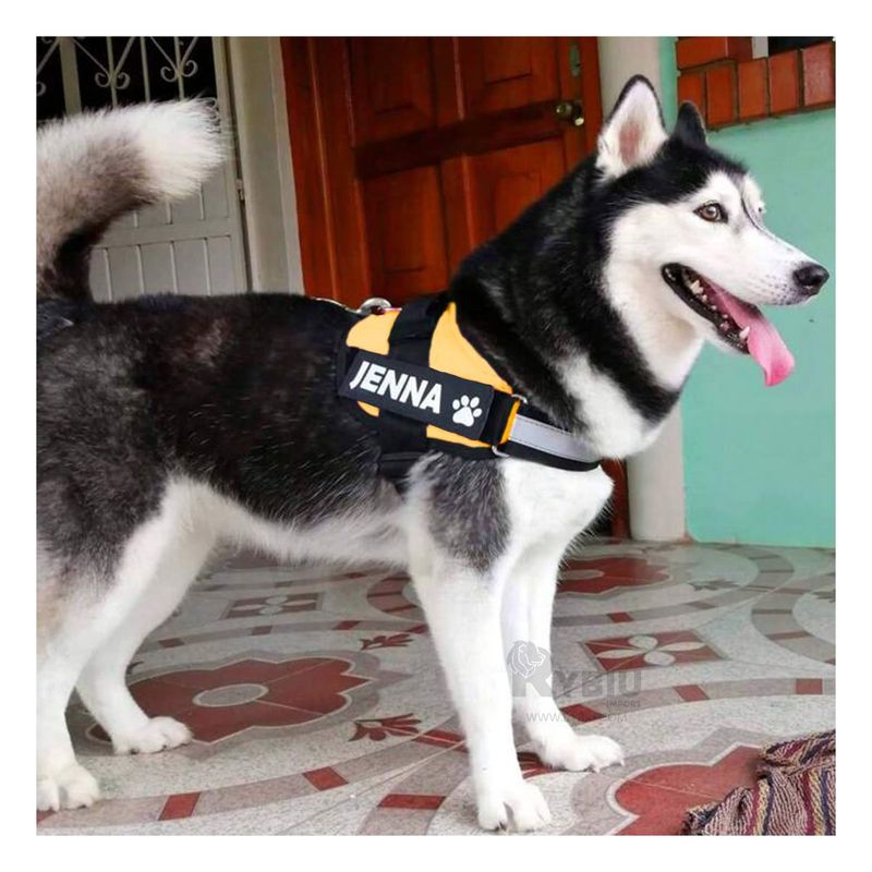 GENERICO - Arnes para Perros Activos Talla S de Color Amarillo
