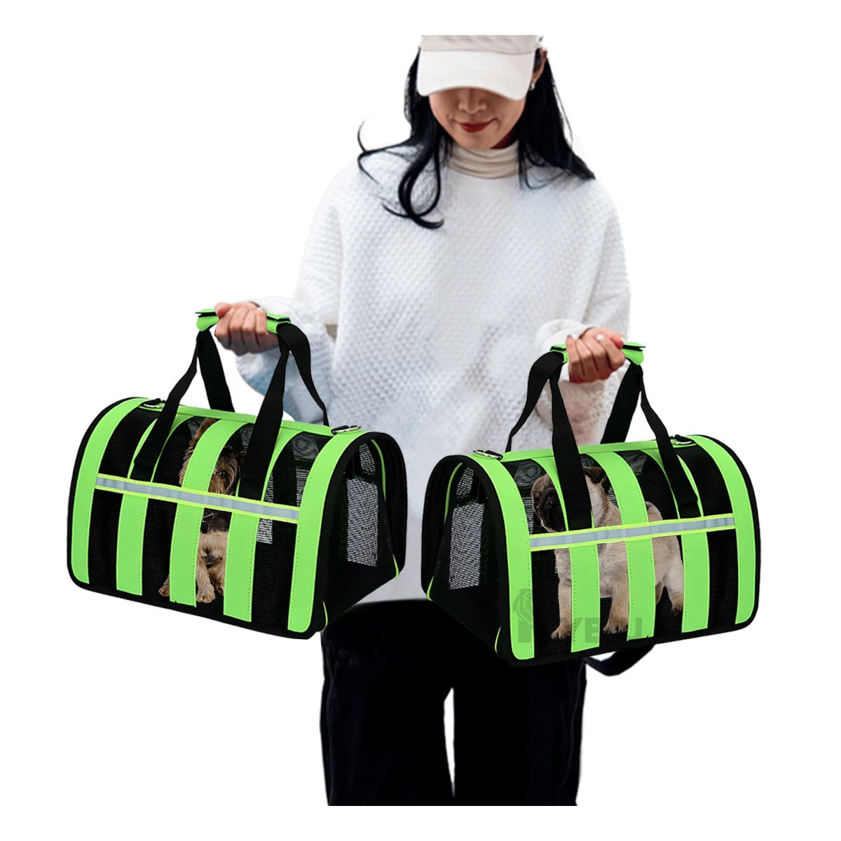 GENERICO - Mochila Portable de Pet de Color Verde Y+Papel de Regalo