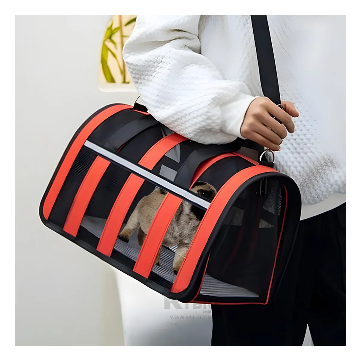 GENERICO - Maleta Viajera para Can de Rojo Y+Envoltorio de Regalo