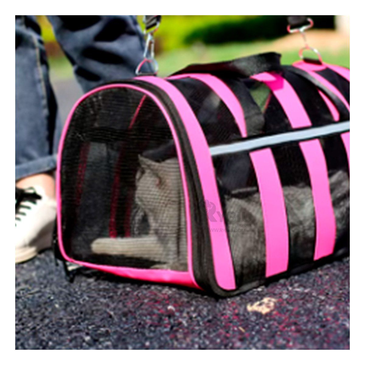 GENERICO - Maleta Viajera para Can de Fucsia Y+Envoltorio de Regalo