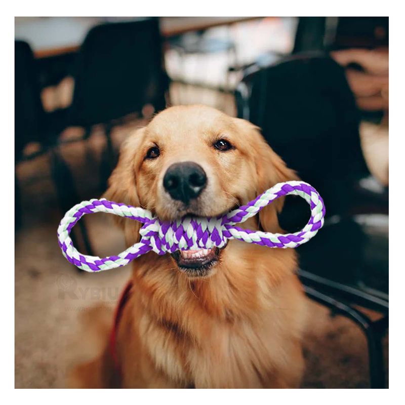 RYBIU IMPORT - Cuerda Dinamica con 4 Lazos en Morado Y+Papel de Regalo