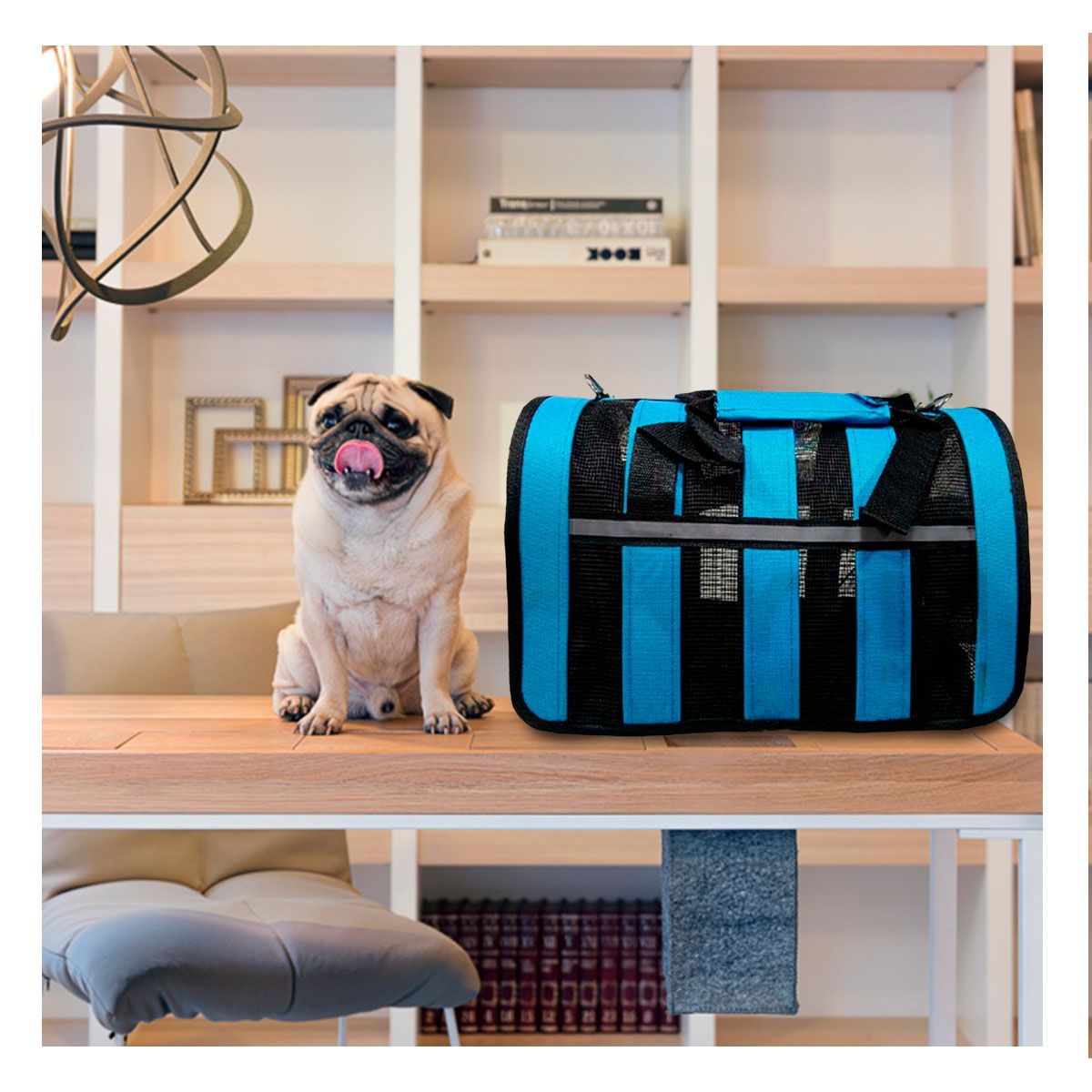 GENERICO - Maleta Viajera para Can de Celeste Y+Envoltorio de Regalo