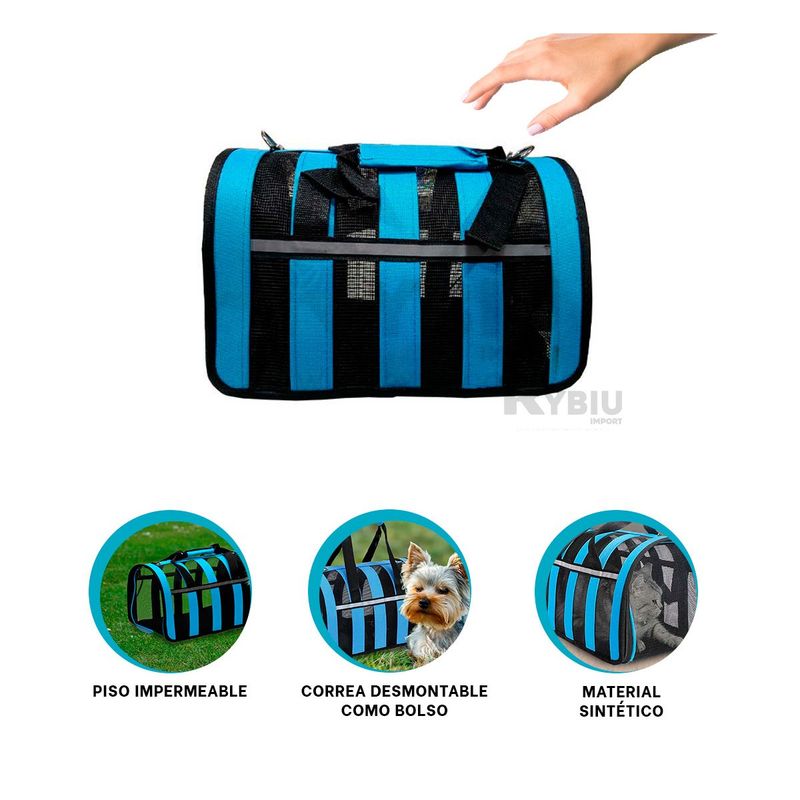 GENERICO - Transportador para Canes en Celeste Y+Banderitas Adhesivas