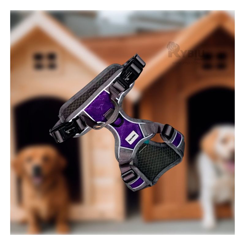 RYBIU IMPORT - Pechera para Mascotas S Morado Y+Papel de Regalo