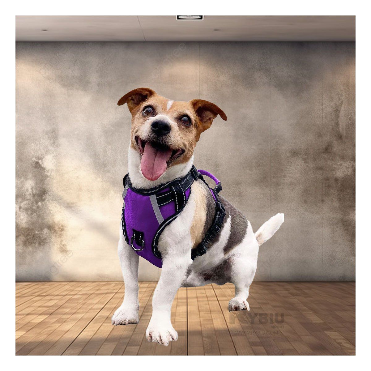 RYBIU IMPORT - Pechera Comoda para Perro S Morado Y+Papel de Regalo