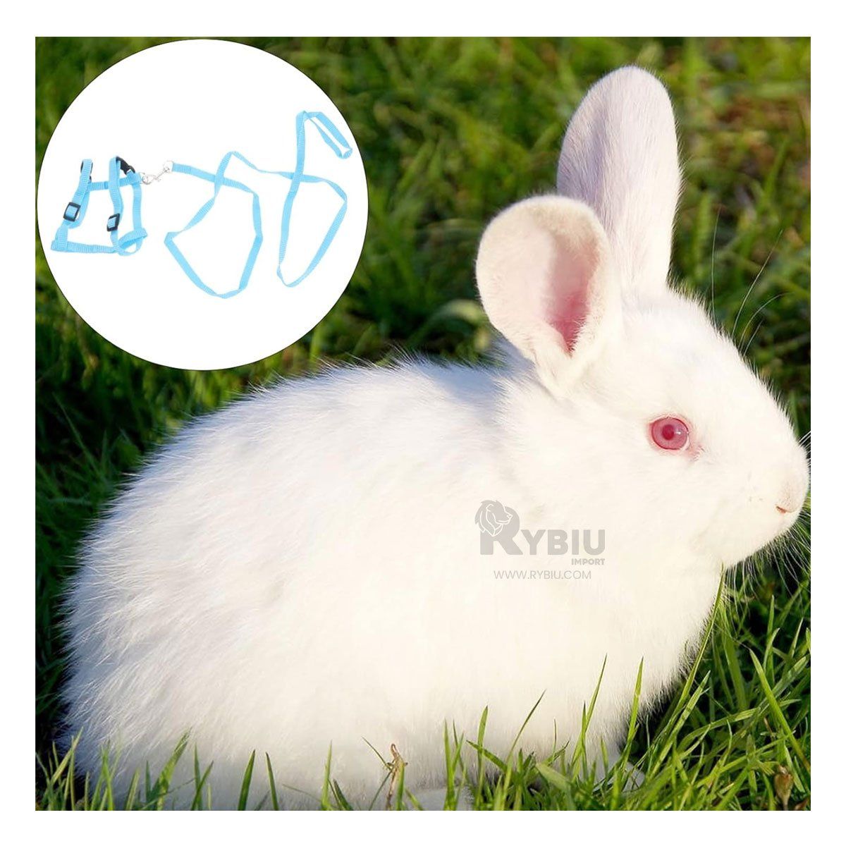 RYBIU IMPORT - Correa Delgada de Conejo para Paseos en Celeste Y+Stickers