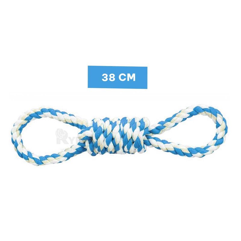 GENERICO - Cordon Practico en Celeste Y+Regalo Ligas para Peinar