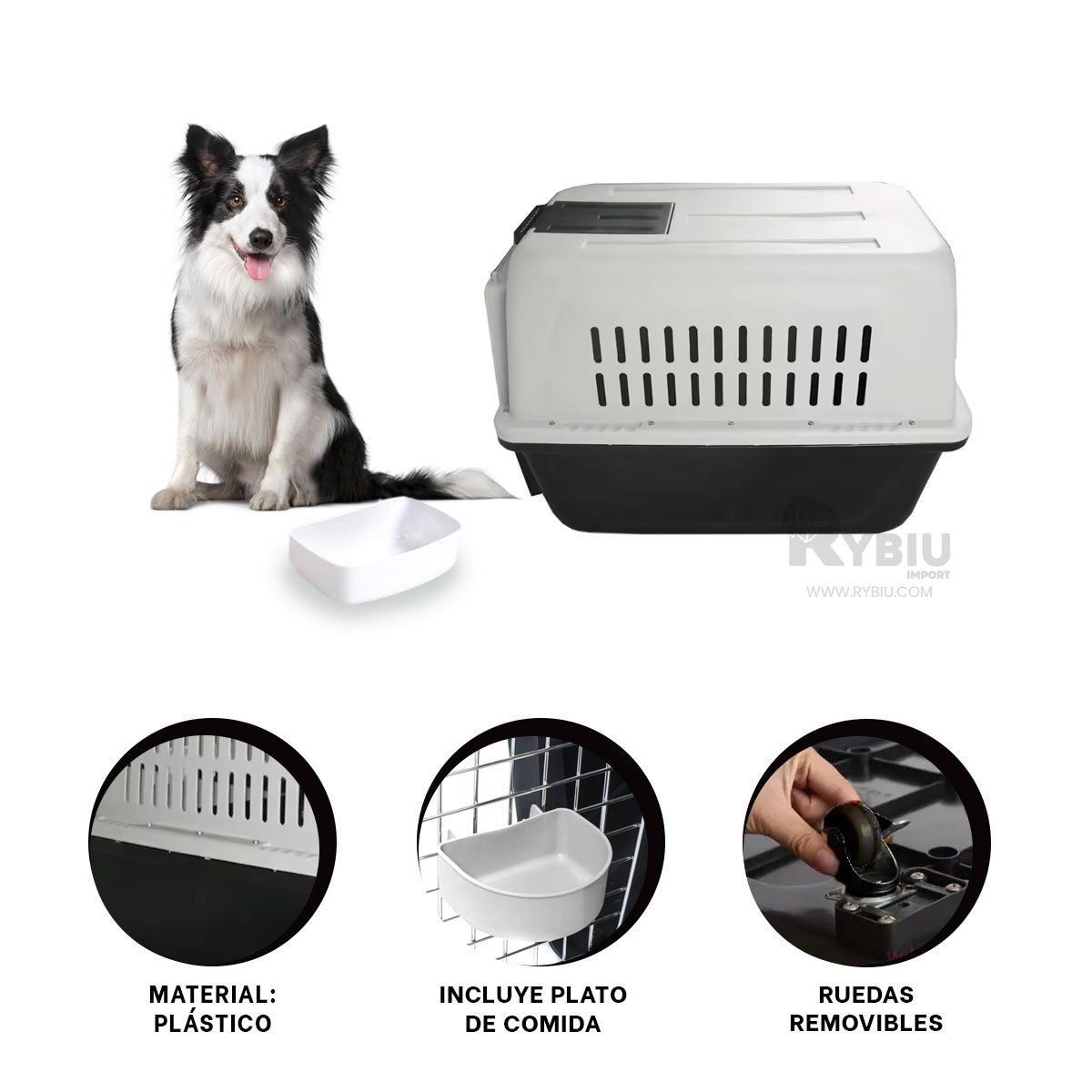 GENERICO - Caja Resistente para Mascota en Color Negro Y+Gift Stickers