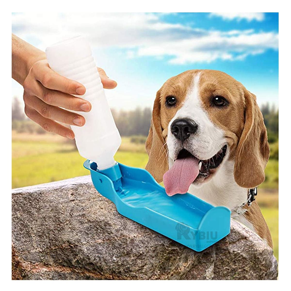 GENERICO - Tomatodo Enroscable para Perros en Color Celeste Y+Agendita