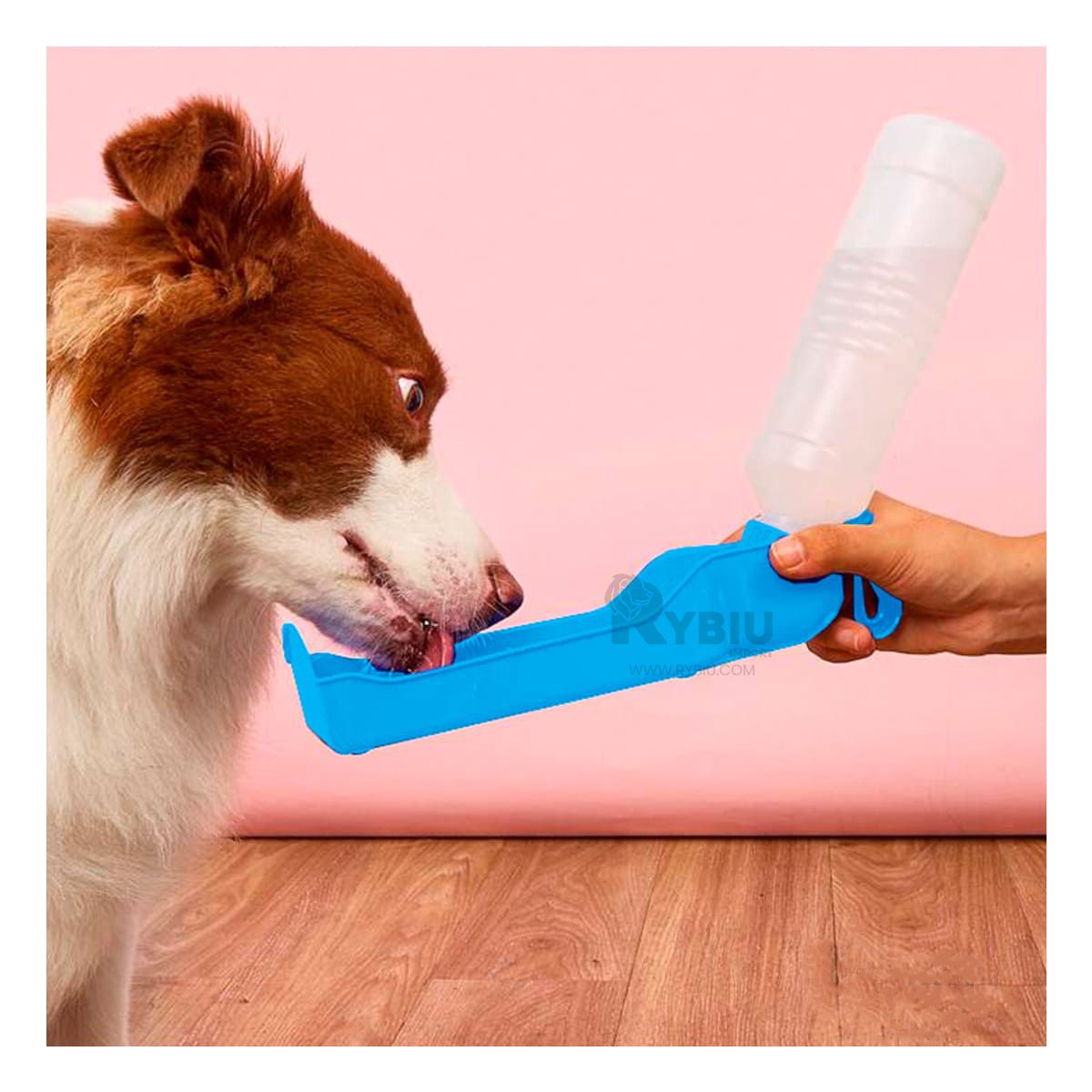 GENERICO - Tomatodo Enroscable para Perros en Color Celeste Y+Agendita