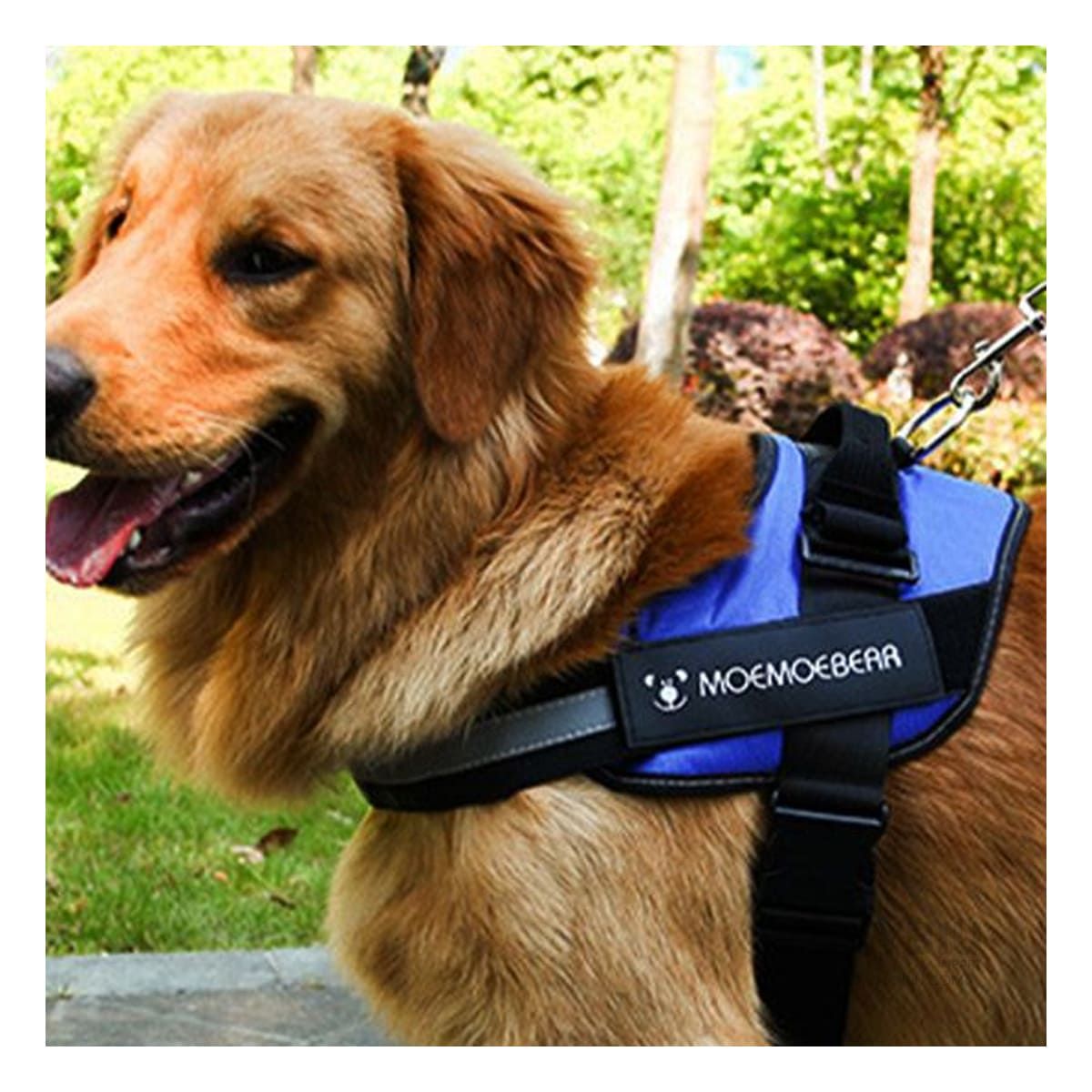 GENERICO - Pechera Canina en Tono Azul Y+Regalo Ligas para Peinar