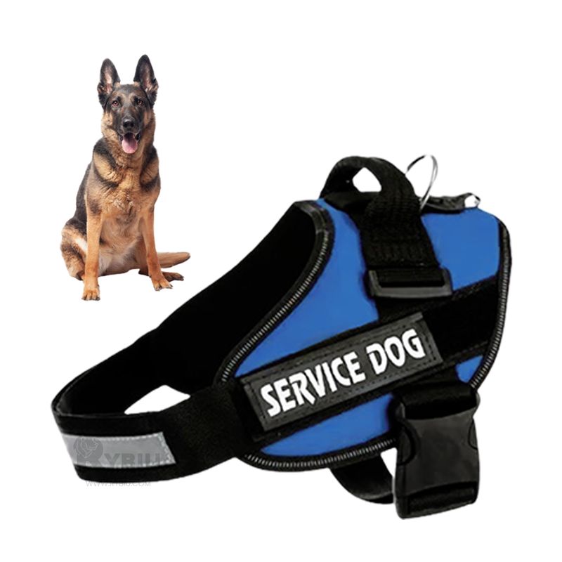 GENERICO - Pechera Perfecta para Paseos en Color Azul Y+Gift Stickers