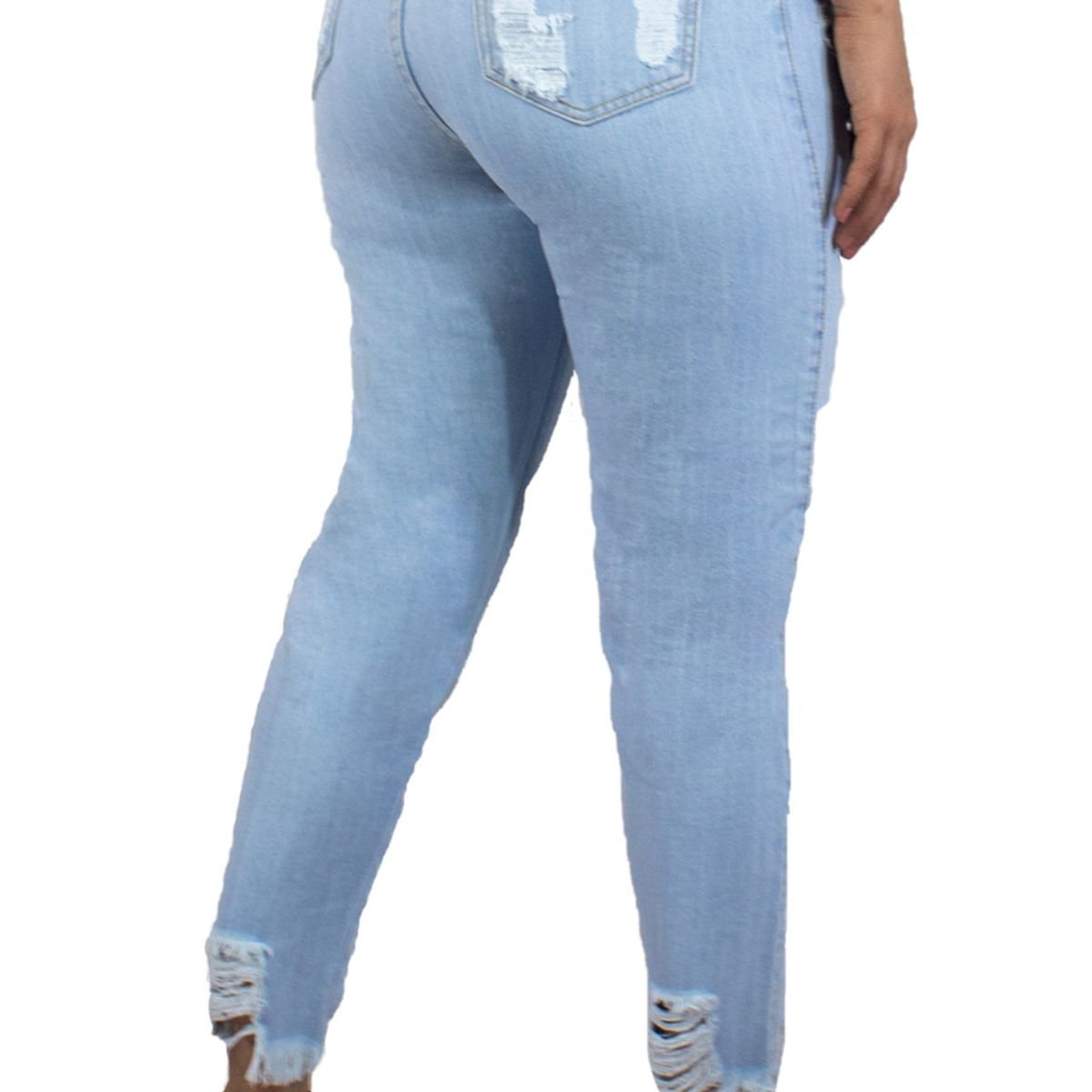 TANSY - JEAN LUCIANA - ICE