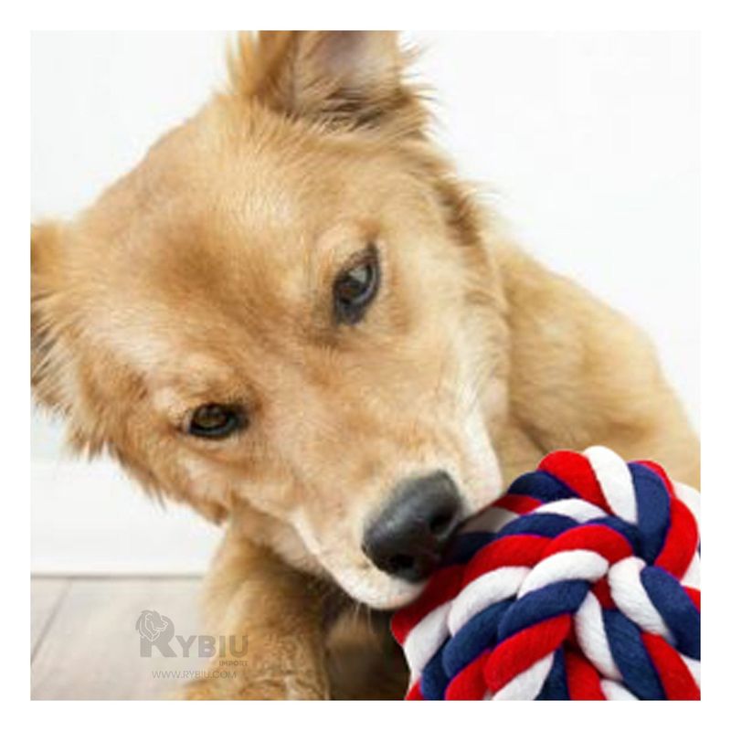 GENERICO - Pelota de Paseo Dogs Trenzada en Multicolor Y+Agendita