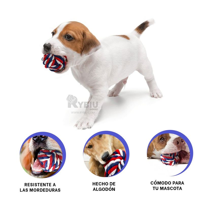 GENERICO - Articulo para Mascotas Entretenido en Multicolor Y+Agendita